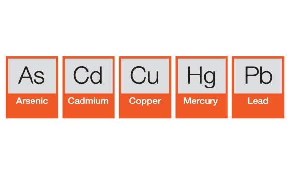 Chelation_Therapy_2.jpg