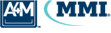 MMI
